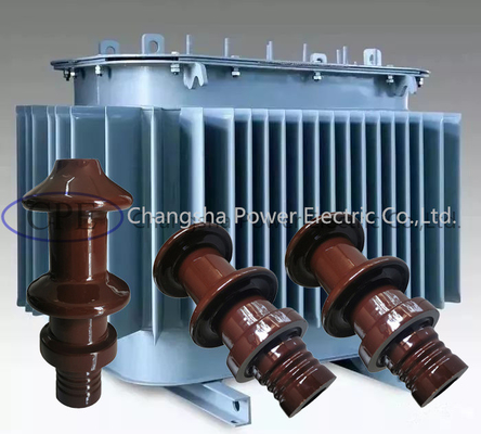 DIN Standard 10000V 10NF250 Transformer Porcelain Bushing OEM tersedia