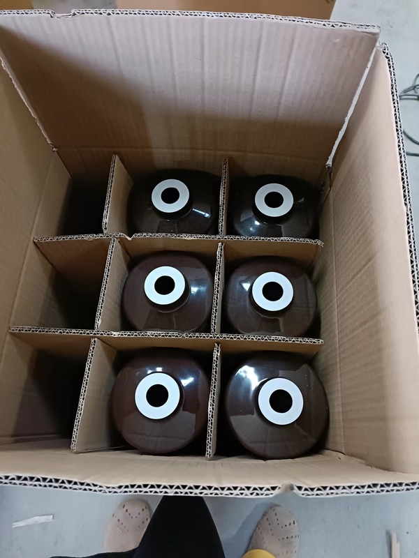 DIN Standard 1-630A Transformer Porcelain Bushing OEM Tersedia