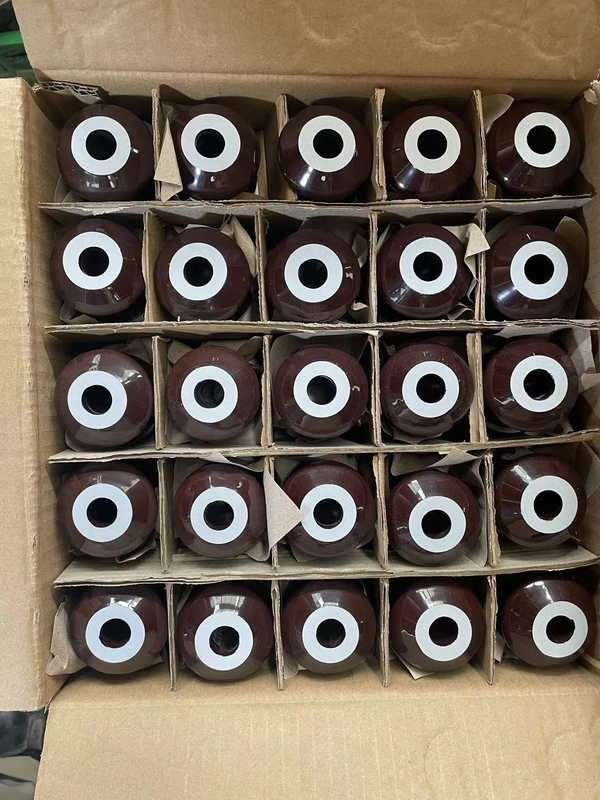 DIN Standar 1kV 250A Transformer Porcelain Bushing CD70MM OEM